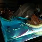 Destroyed Galleon Diorama Sea of Thieves Destroyed Galleon Diorama Sea of Thieves