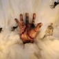 Wednesday hand (thing) adams family 1/1 scale replica Wednesday hand (thing) adams family 1/1 scale replica