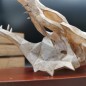 Skyrim Dragon Skull